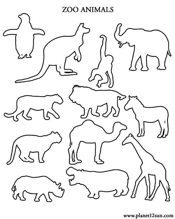 Zoo Animal Templates