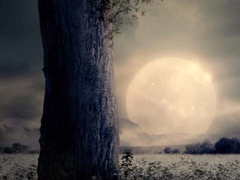 tree moon mysterious wallpaper background phone