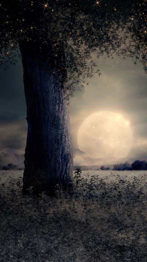 tree moon mysterious wallpaper background phone