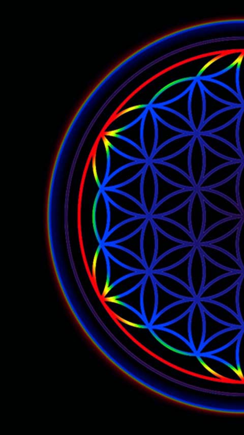 geometry sacred flower of life 3D wallpaper background phone