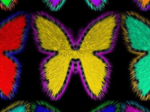 butterflies colorful dark background wallpaper phone
