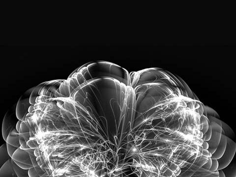 digital art flower black and white background wallpaper phone