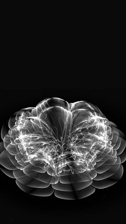 digital art flower black and white background wallpaper phone