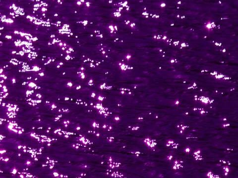 eggplant color sparkly water background wallpaper phone