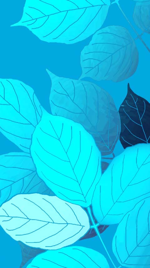 cyan leaves blue wallpaper background phone