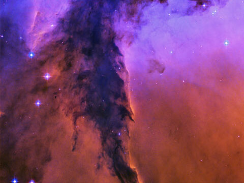 Horsehead Nebula space stars galaxy wallpaper phone background