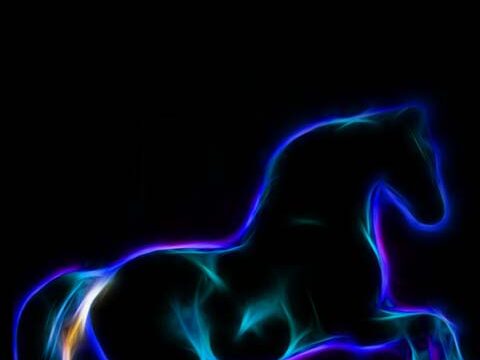 neon horse black dark wallpaper background phone